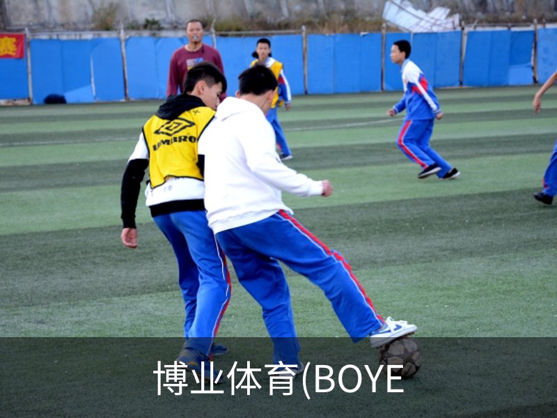 博业体育(BOYE品牌故事